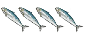 イワシ