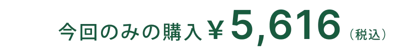 単品価格