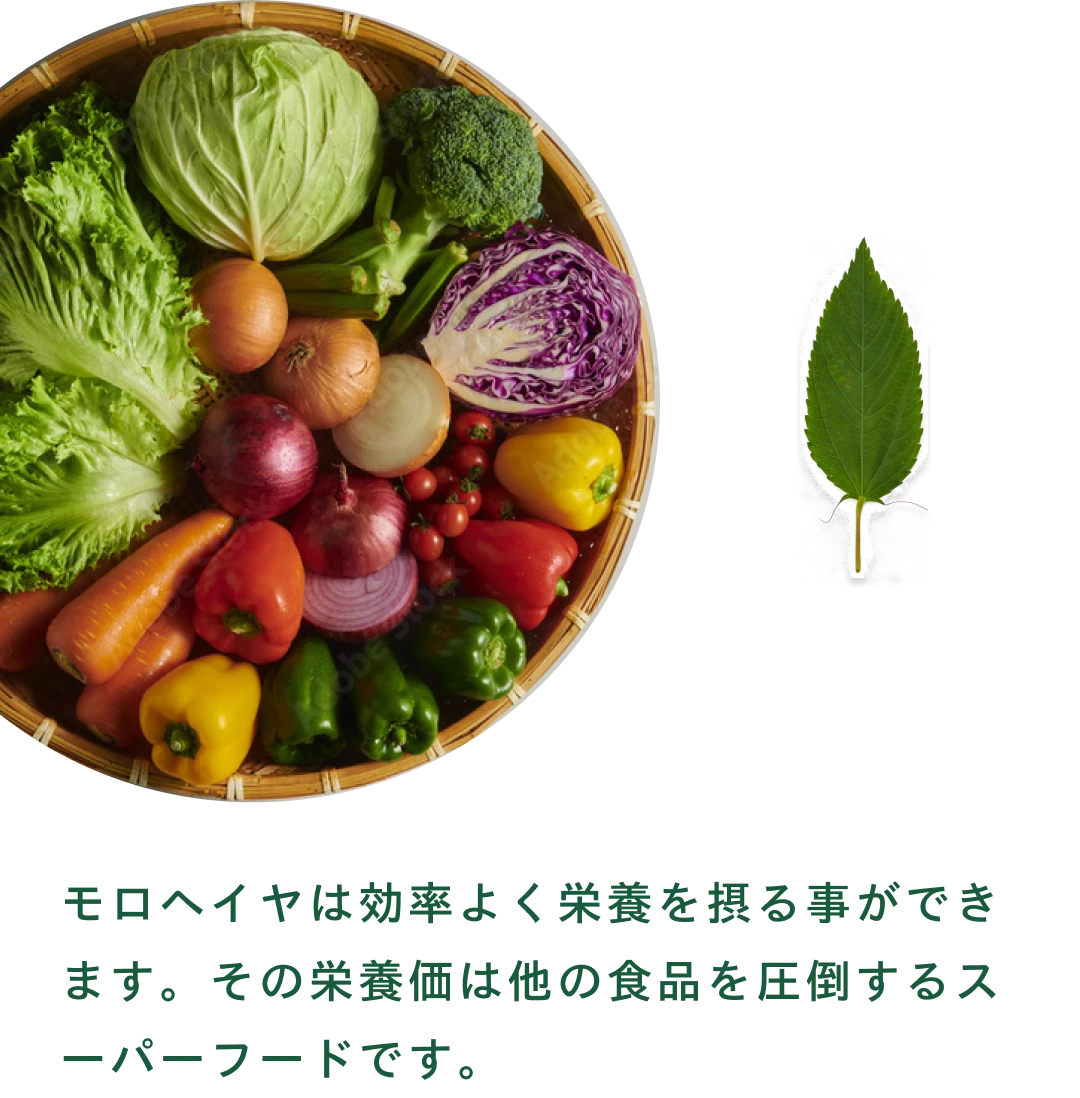 野菜