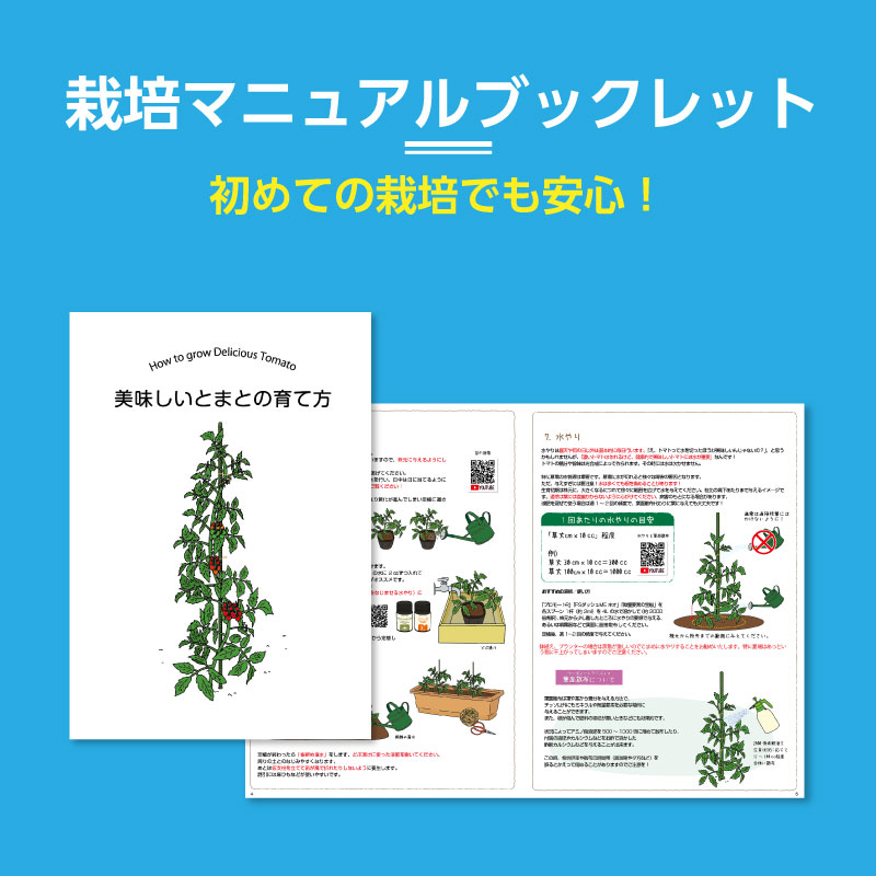 【ご予約】ハイギャバ®トマト栽培セット【栽培指導付き・肥料付き】（数量限定）2026 苗数: 4株