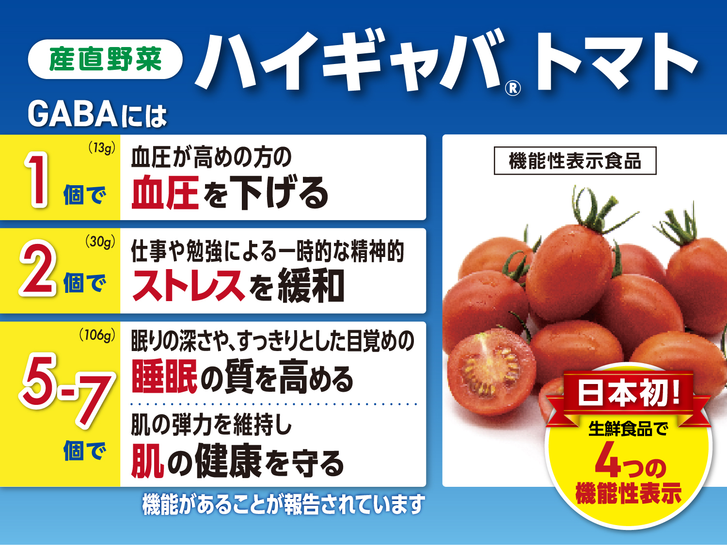 産直 ハイギャバ トマト（2kg）