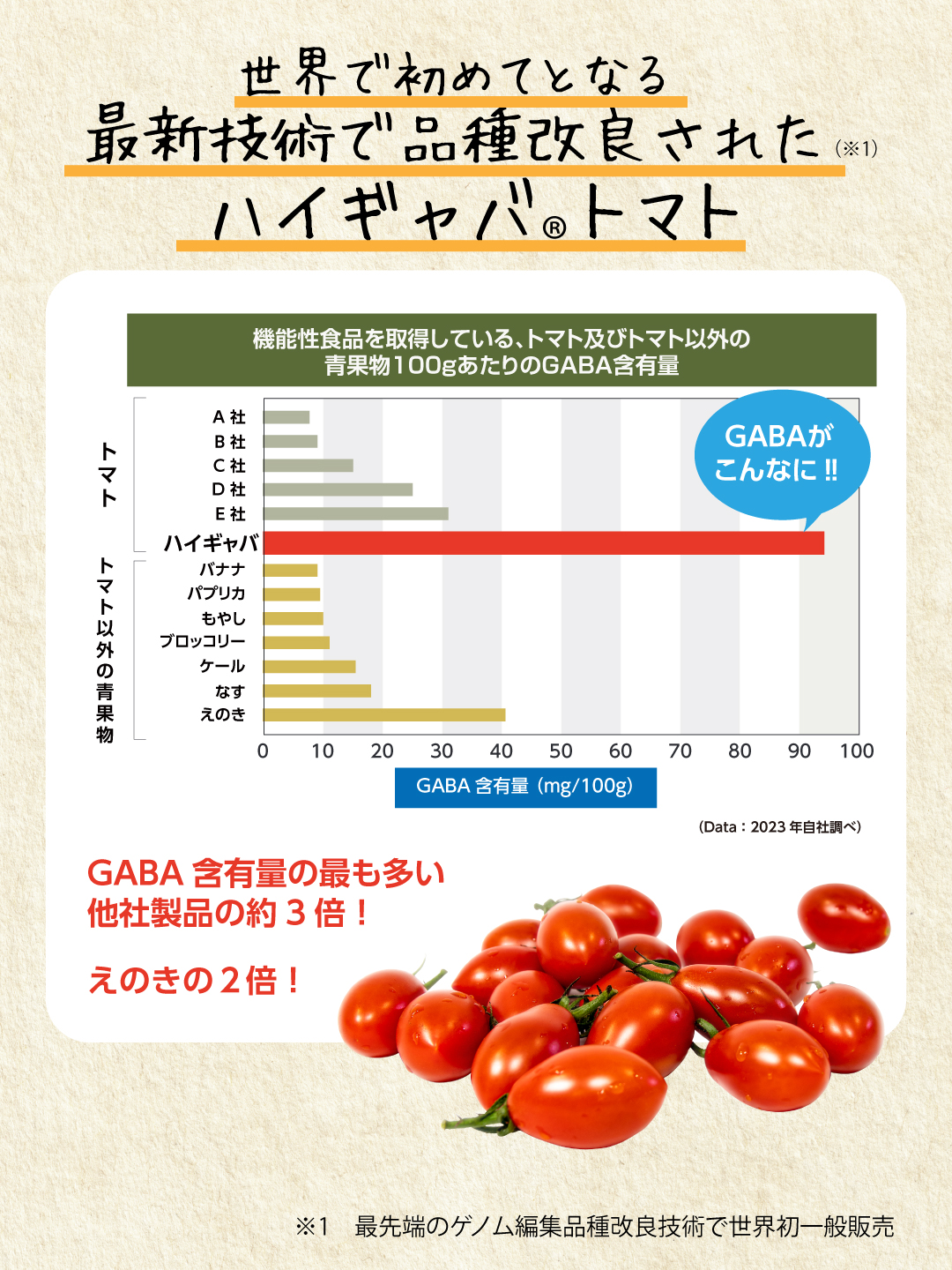 ブラックフライデー／初めてご購入の方限定・産直ハイギャバトマト（2kg）／TV放送記念キャンペーン-【機能性表示食品】高めの血圧を下げる／睡眠の質の向上