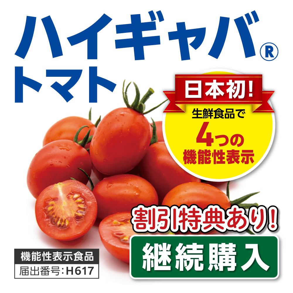 【継続購入／初回500円】産直ハイギャバ トマト（2kg）