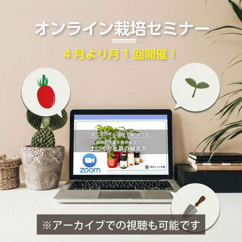 【ご予約】ハイギャバ®トマト栽培セット【栽培指導付き・肥料付き】（数量限定）2026 苗数: 4株