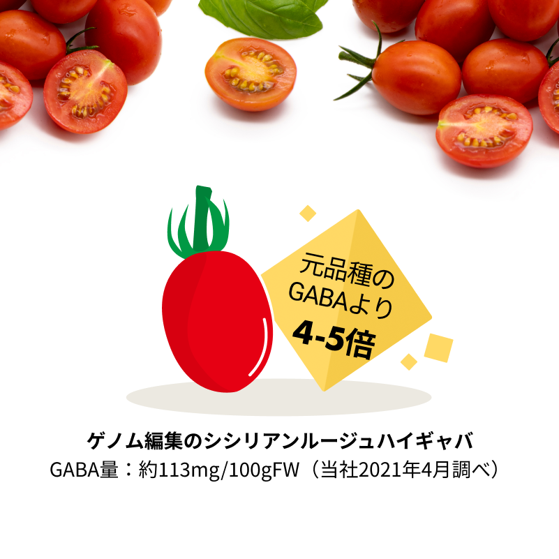 【ご予約】ハイギャバ®トマト栽培セット【栽培指導付き・肥料付き】（数量限定）2026 苗数: 4株