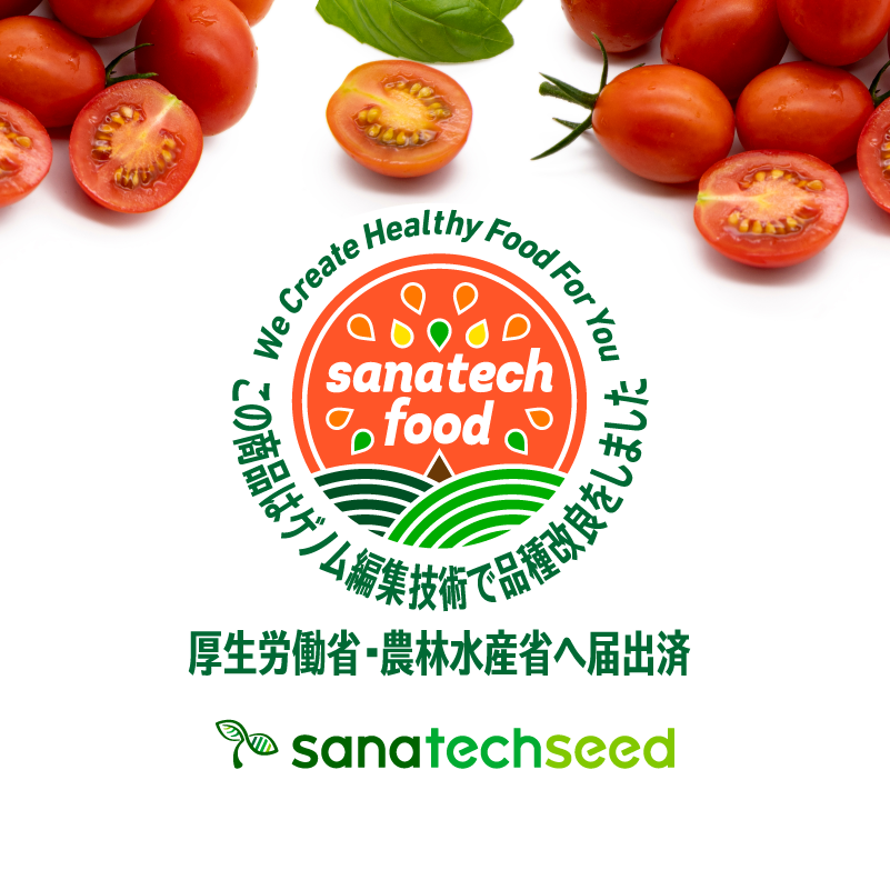 ブラックフライデー／初めてご購入の方限定・産直ハイギャバトマト（2kg）／TV放送記念キャンペーン-【機能性表示食品】高めの血圧を下げる／睡眠の質の向上