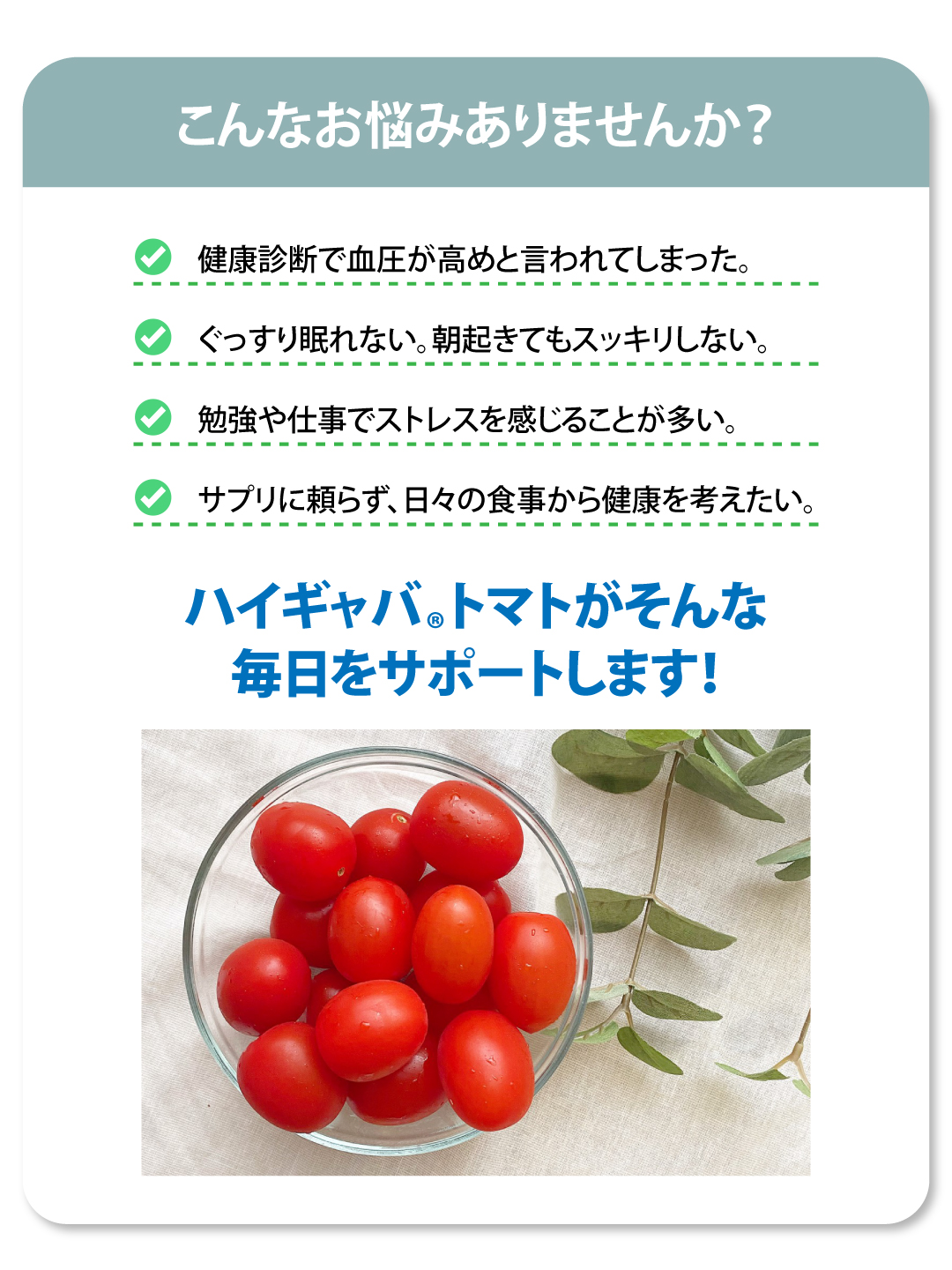 ブラックフライデー／初めてご購入の方限定・産直ハイギャバトマト（2kg）／TV放送記念キャンペーン-【機能性表示食品】高めの血圧を下げる／睡眠の質の向上