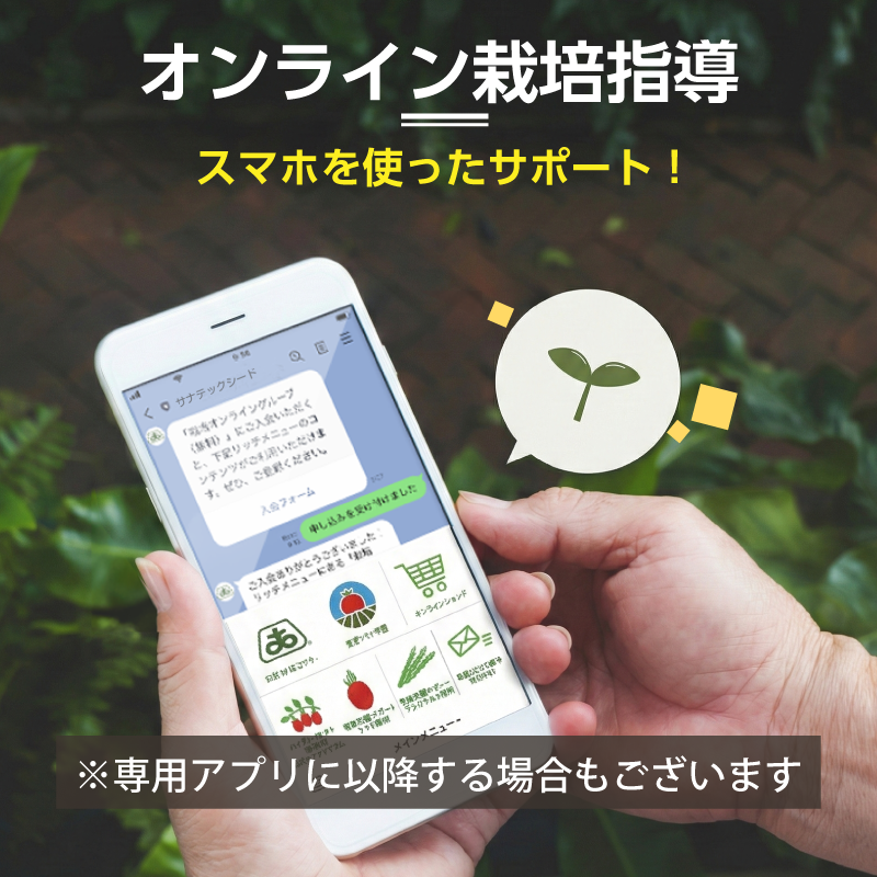 【ご予約】ハイギャバ®トマト栽培セット【栽培指導付き・肥料付き】（数量限定）2026 苗数: 4株