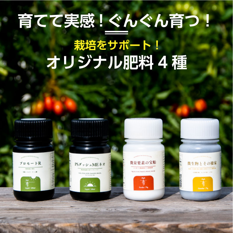 【ご予約】 カラフルアソート6品種トマト栽培セット（数量限定）2026 カラフルアソート6品種: サポート肥料4種つき