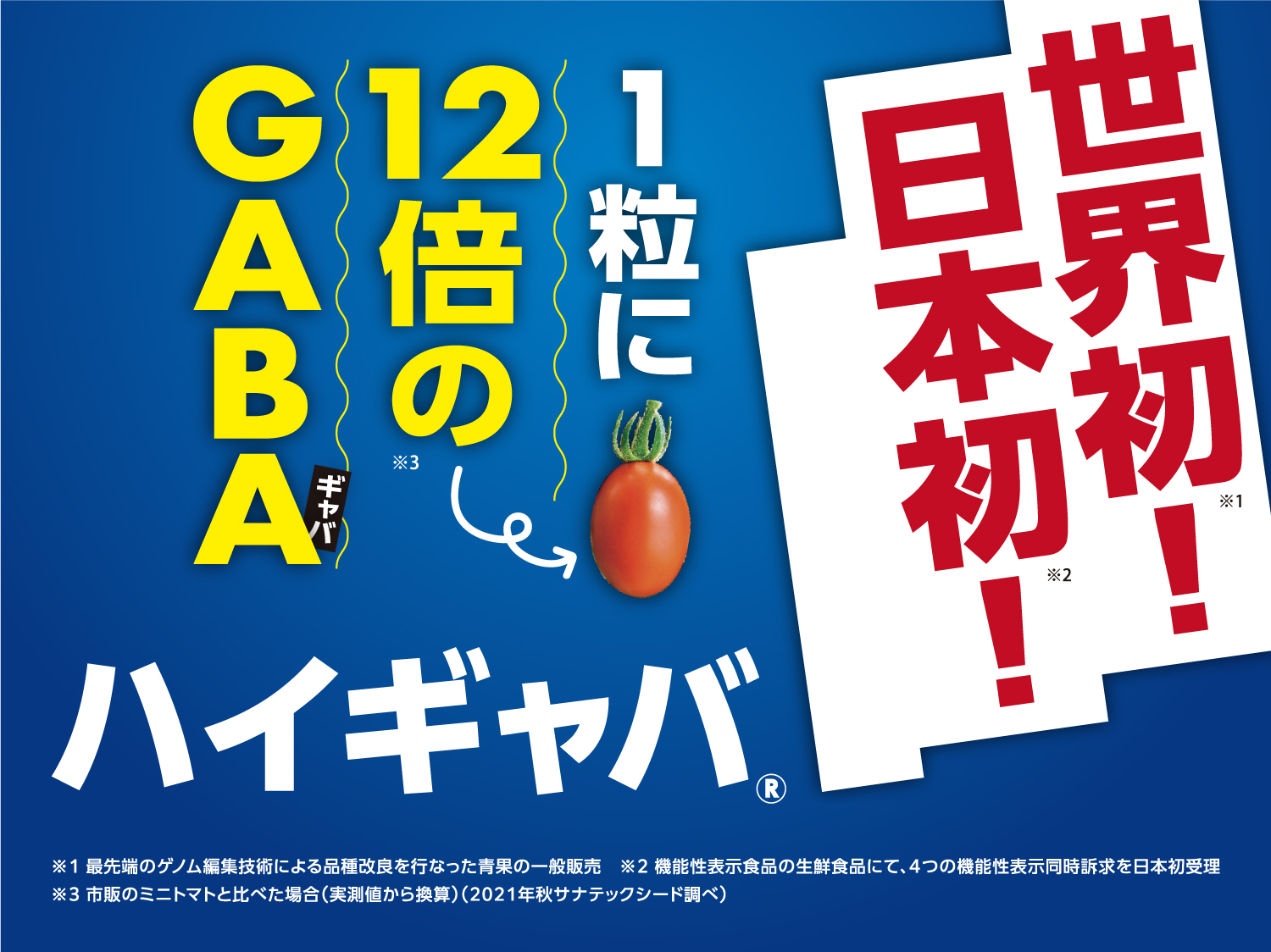 【継続購入／初回500円】産直ハイギャバ トマト（2kg）