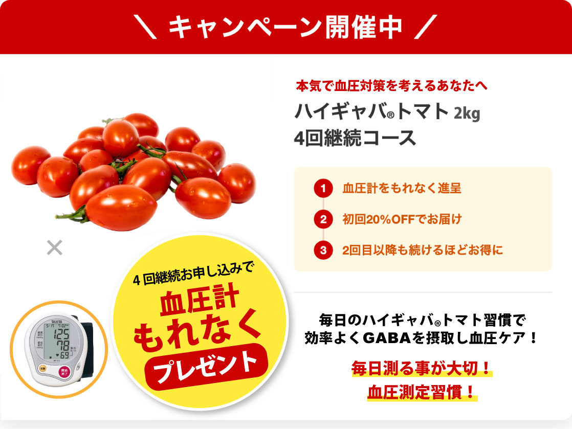 キャンペーン開催中