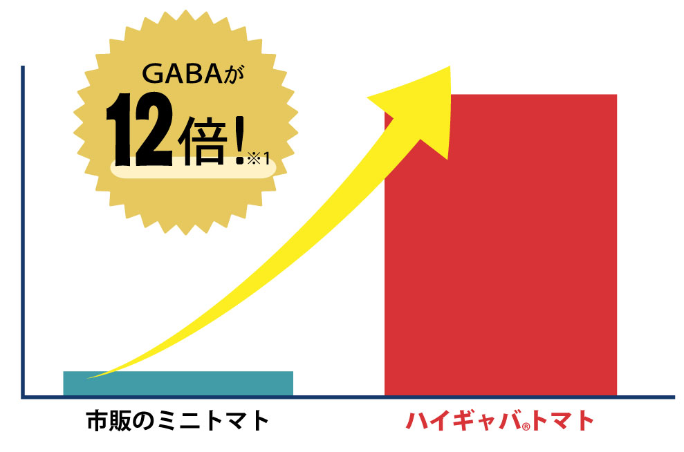 GABAが12倍