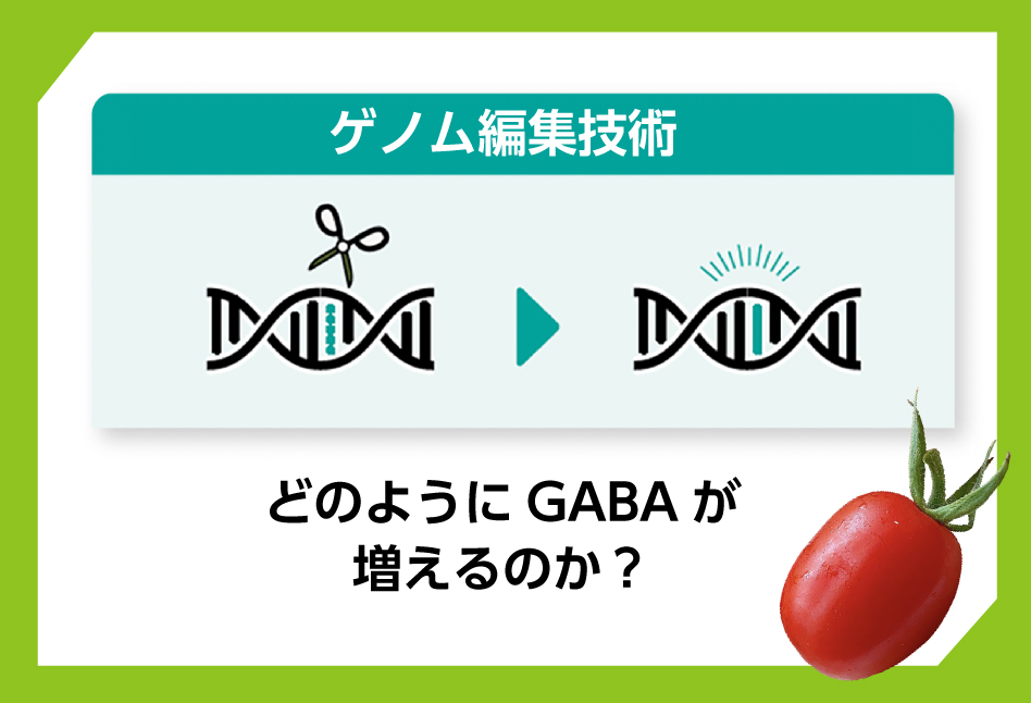 ゲノム編集技術の記事へ