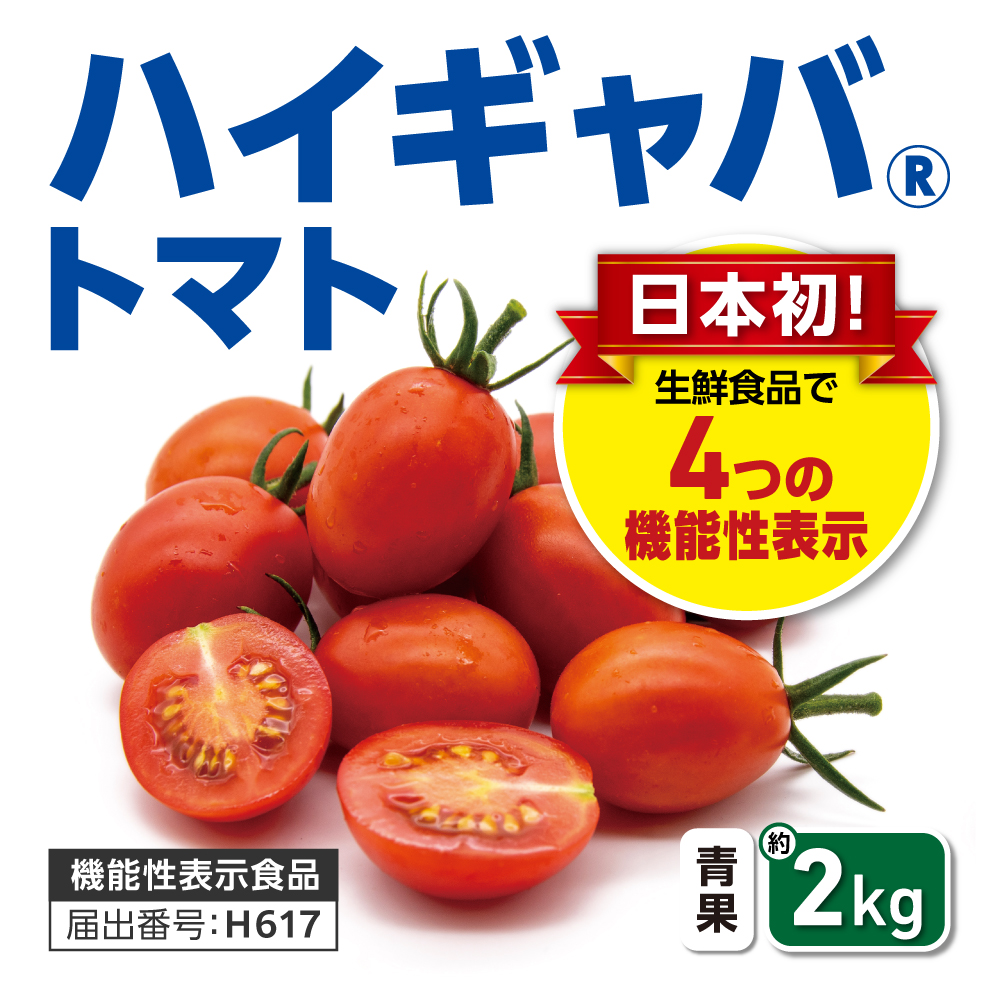 ハイギャバトマト2kg