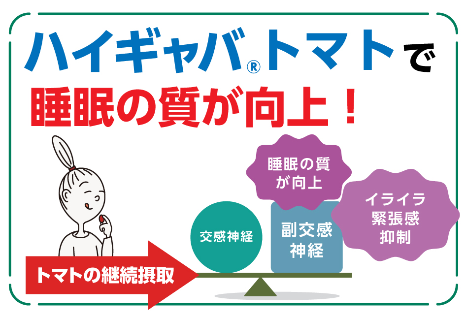 ハイギャバ®トマトで睡眠の質が向上!