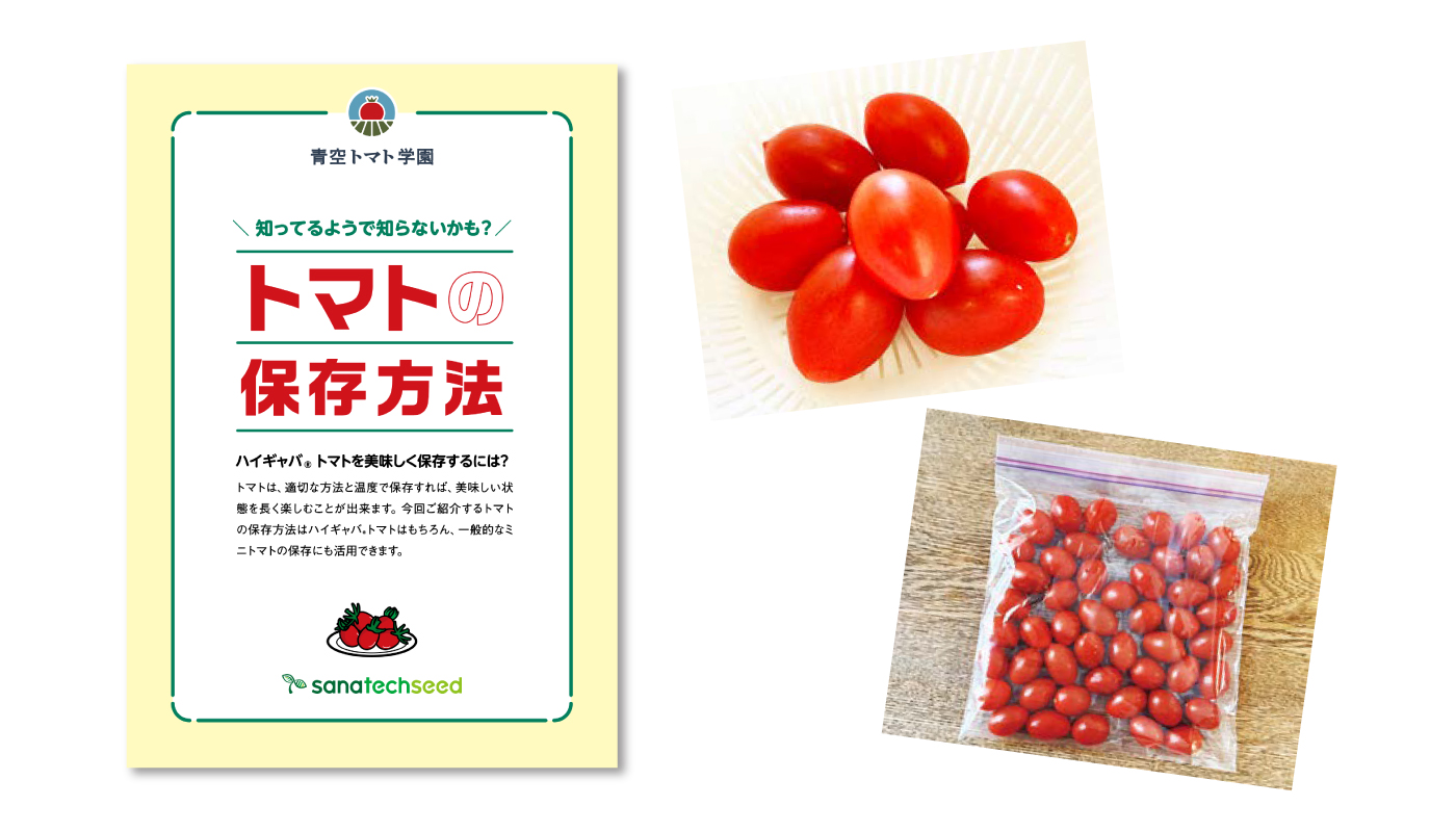 ハイギャバトマトの保温方法
