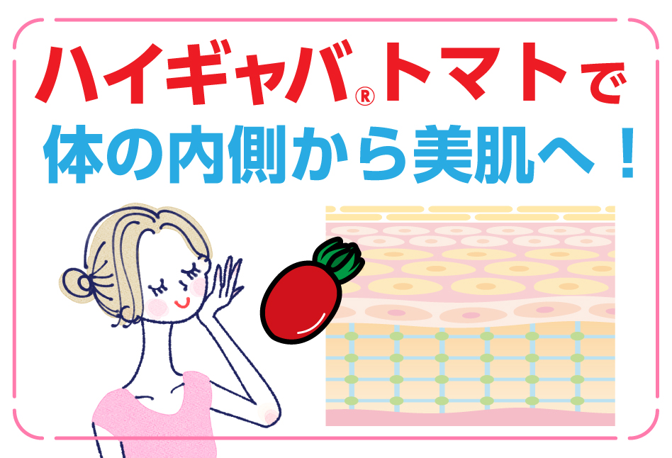 ハイギャバトマトで体の内側から美肌へ