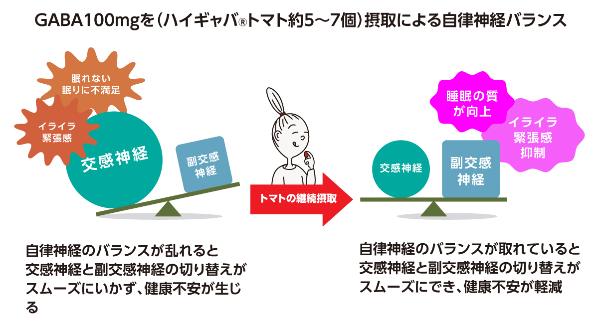 GABA100mgを摂取による自律神経のバランス