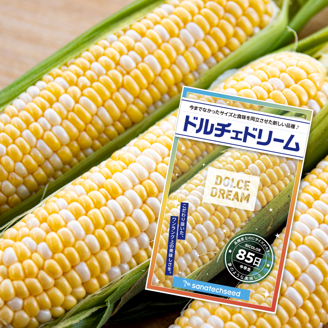 販売再開しました「新時代のスイートコーン」（種子）