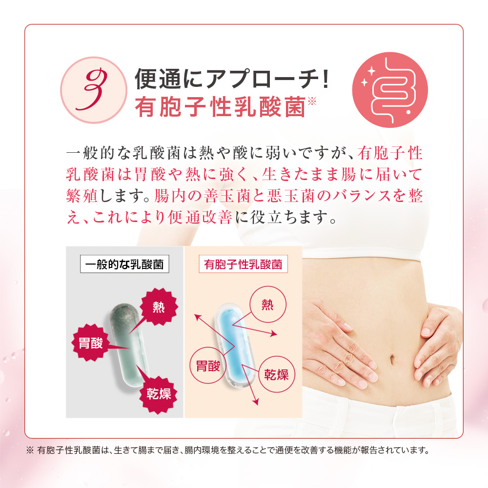 メグラナイト（約1ヶ月分／90粒）