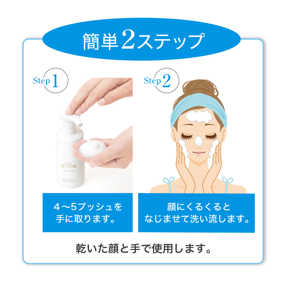 【定期お届けコース】泡クレンジング (約30回分)