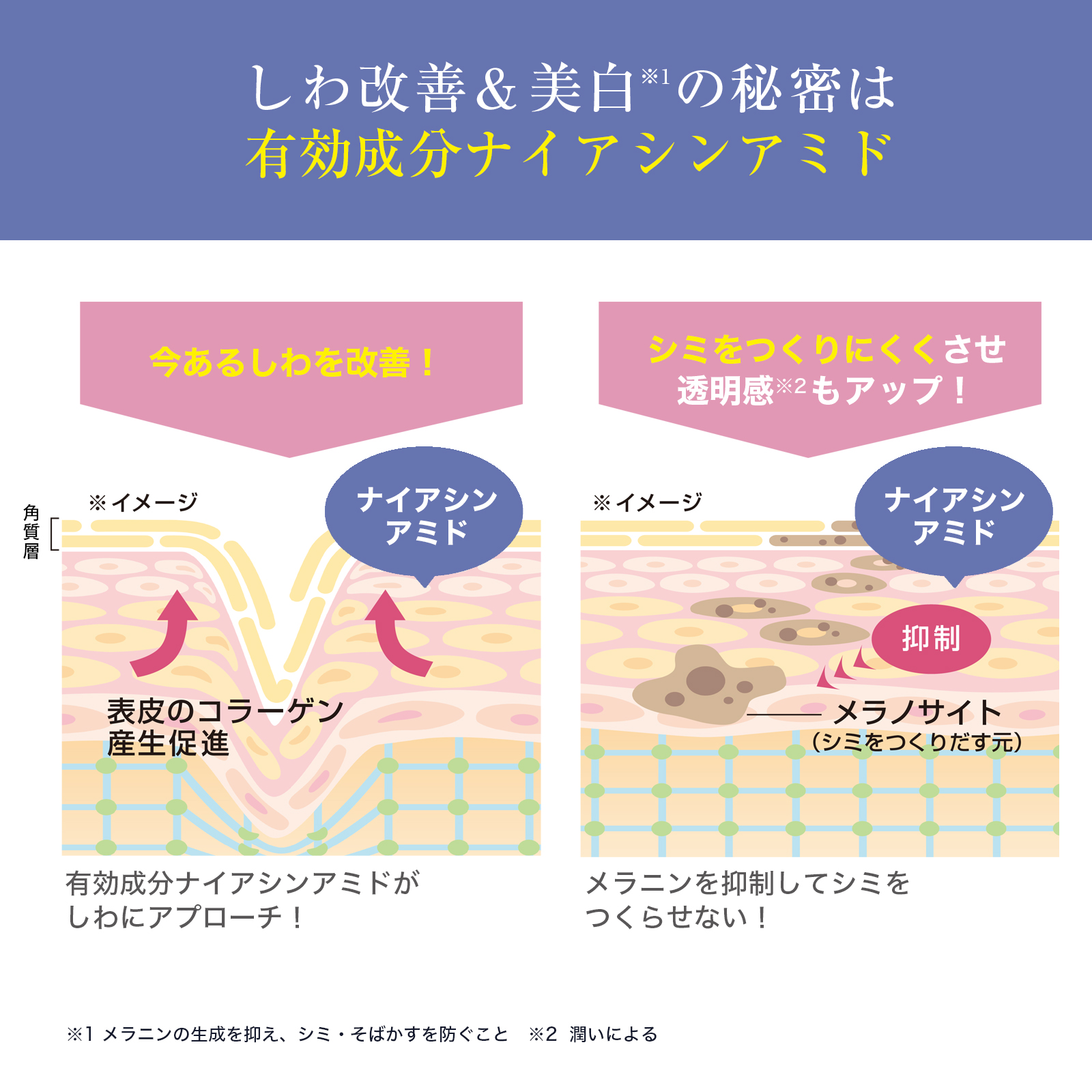 リンクルホワイトジェルクリーム(約1ヶ月分)