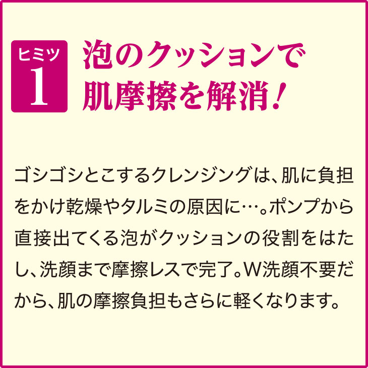 【定期お届けコース】泡クレンジング (約30回分)