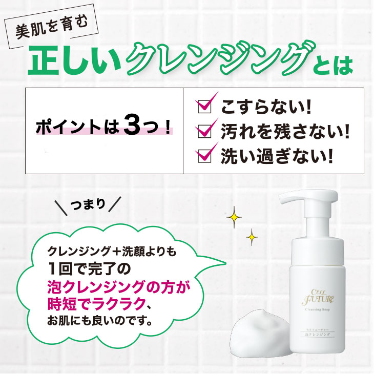【定期お届けコース】泡クレンジング (約30回分)