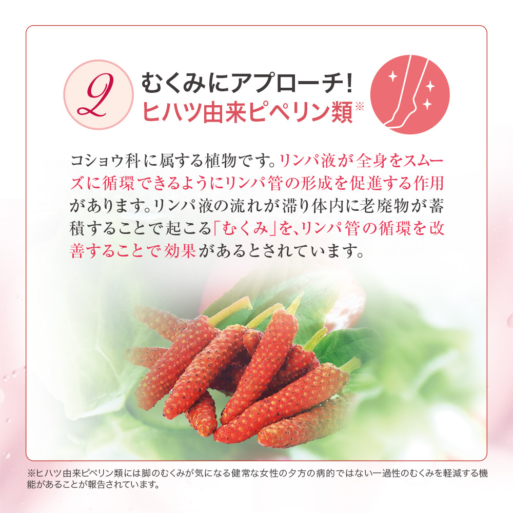 メグラナイト（約1ヶ月分／90粒）