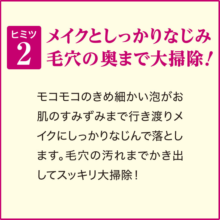 【定期お届けコース】泡クレンジング (約30回分)