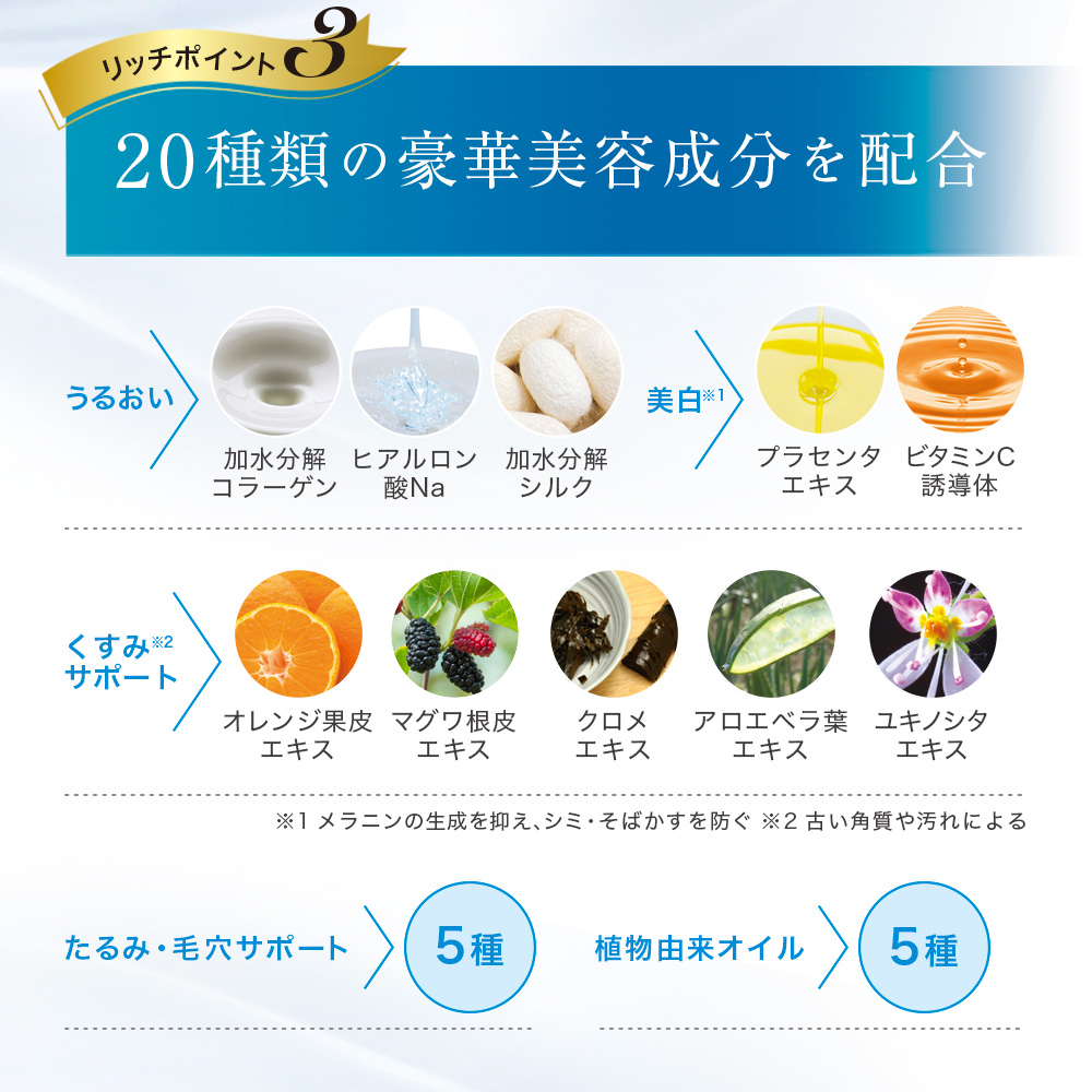 (DM2604)【定期便】リッチクレンジングジェル2本セット【初回のみ3,050円】