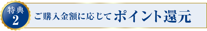 特典2:ご購入金額に応じてポイント還元