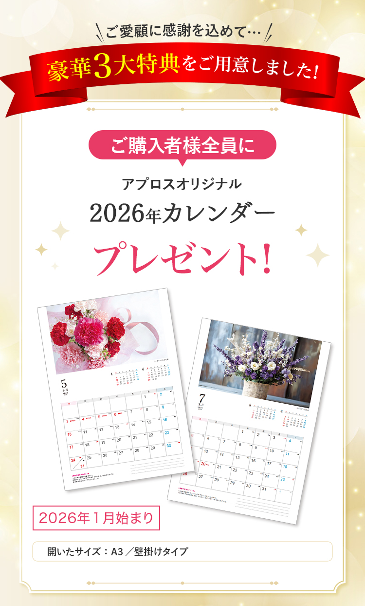 ご愛顧に感謝を込めて豪華3大特典をご用意しました!ご購入者様全員にアプロスオリジナル2026年カレンダープレゼント