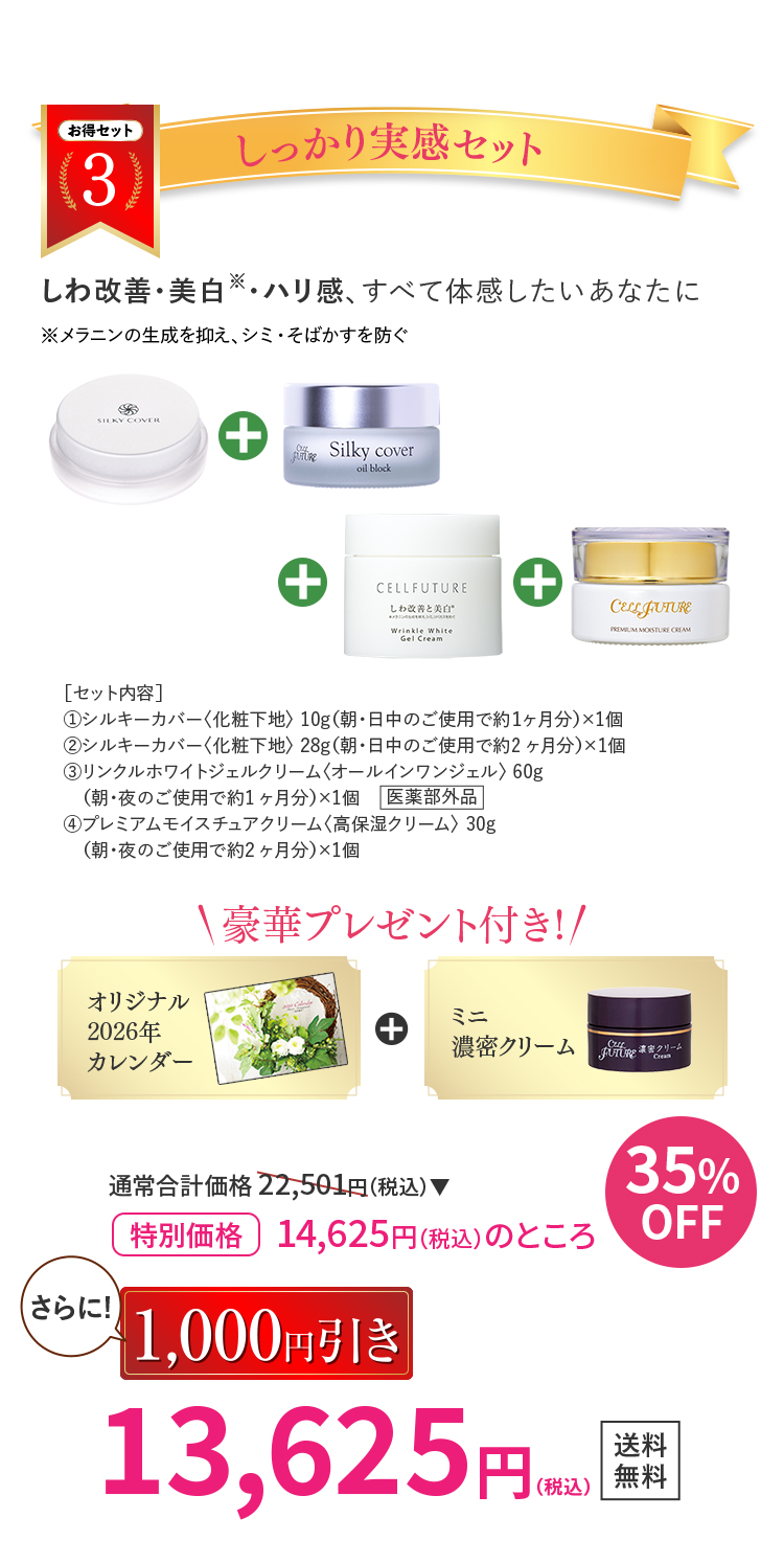 しっかり実感セット