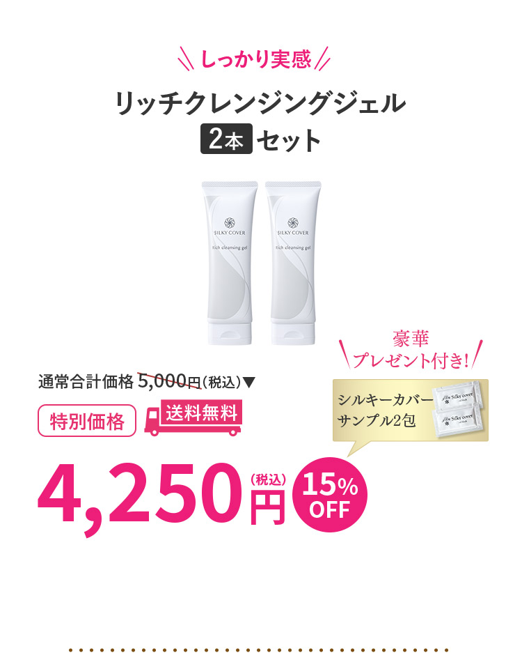リッチクレンジングジェル2本セット