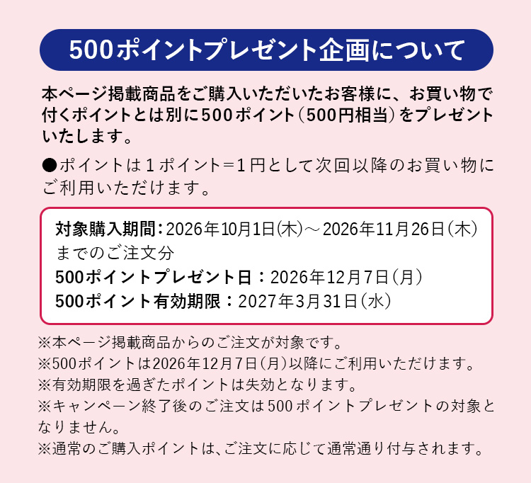 500ポイントプレゼント企画について