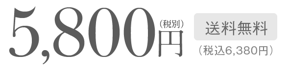 送料無料 5,800円(税別) （税込6,380円）