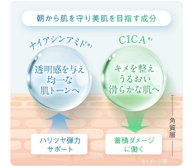 朝から肌を守り美肌を目指す成分