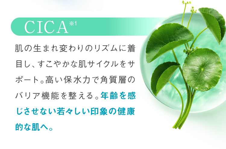 CICA 肌の生まれ変わりのリズムに着目し、すこやかな肌サイクルをサポート。高い保水力で角質層のバリア機能を整える。年齢を感じさせない若々しい印象の健康的な肌へ。