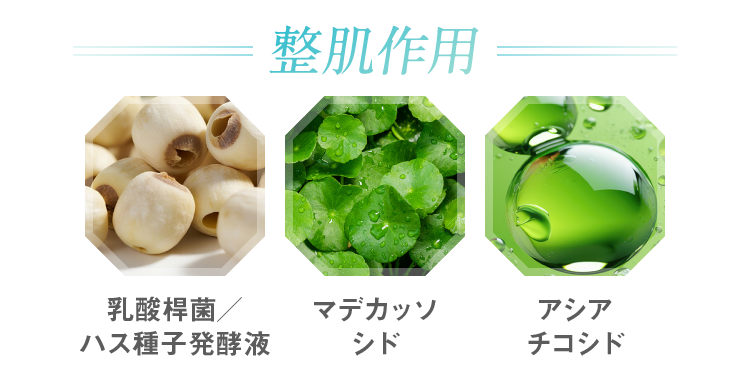 整肌作用 乳酸桿菌／ハス種子発酵液 マデカッソシド アシアチコシド