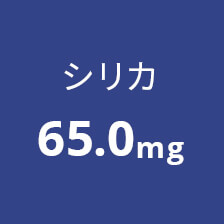 シリカ65.0mg