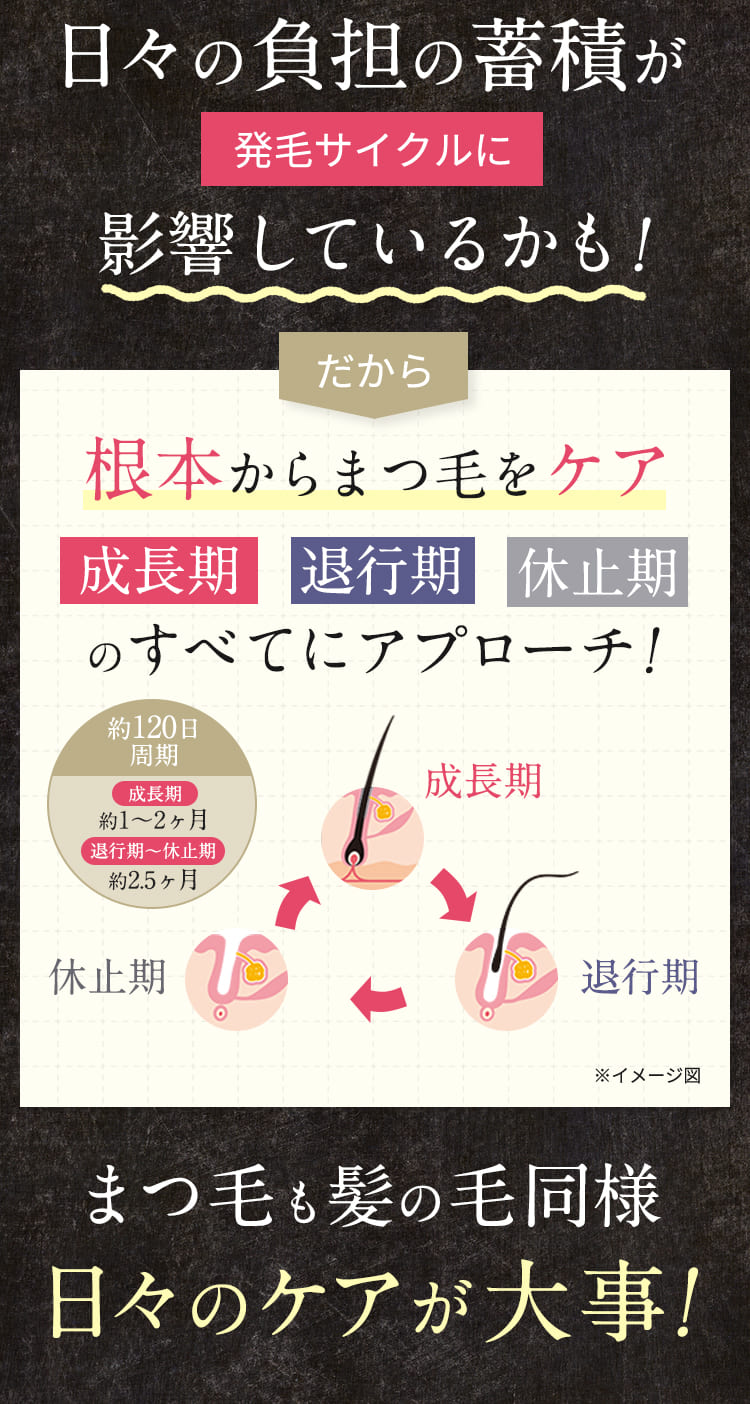 日々の負担の蓄積が発毛サイクルに影響しているかも！まつ毛も日々のケアが大事！