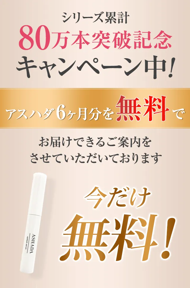 シリーズ累計80万本突破記念キャンペーン中