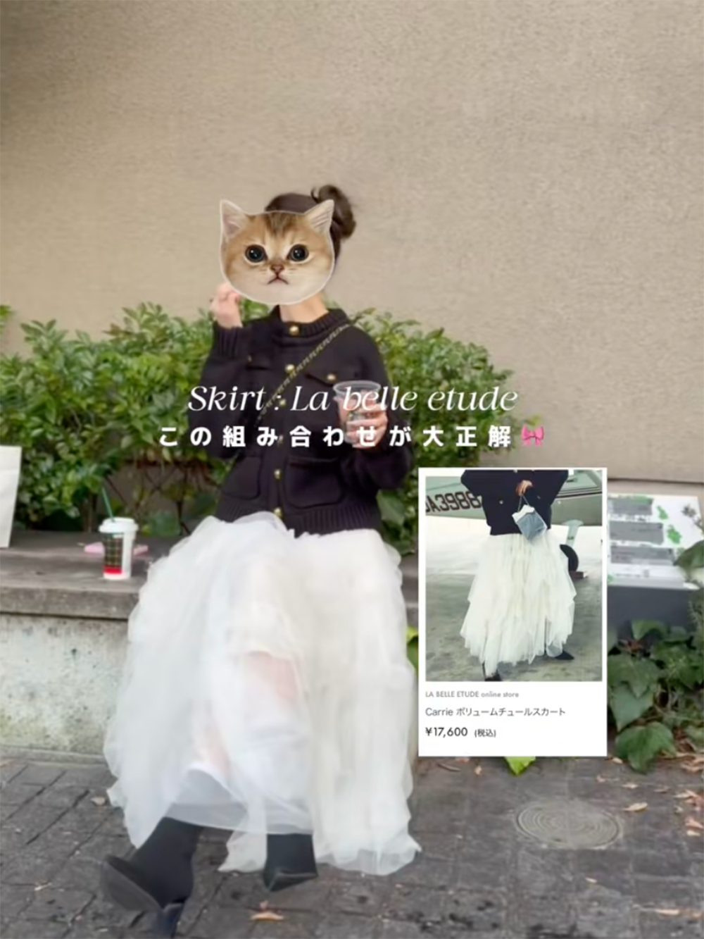 Biby code サイズ: Free