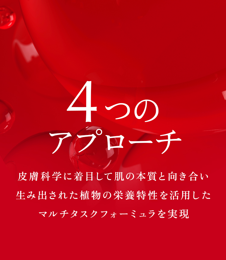 4つのアプローチ