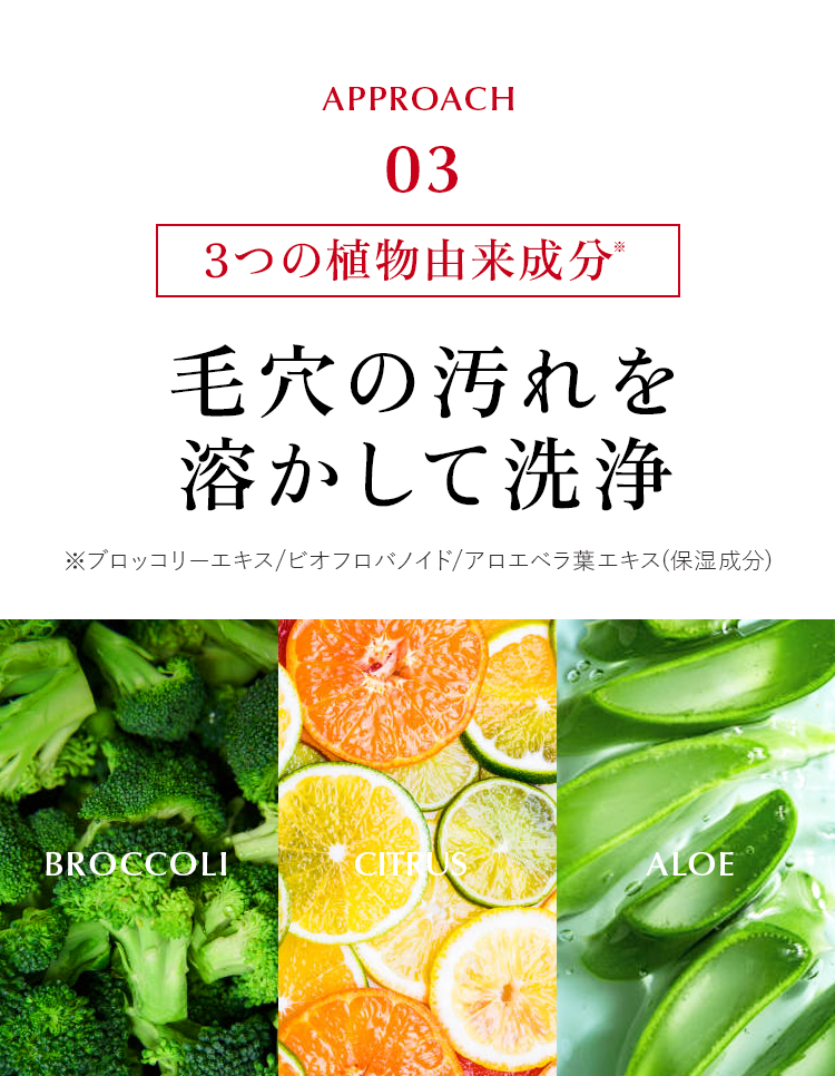 【3つの植物由来成分】毛穴の汚れを溶かして洗浄