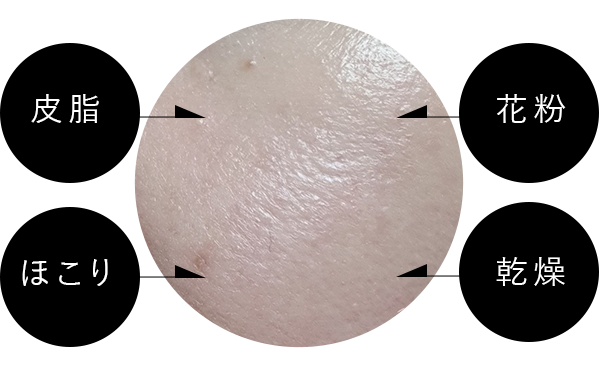 皮脂 花粉 ほこり 乾燥