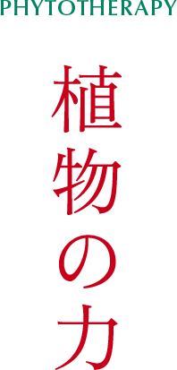 【PHYTOTHERAPY】植物の力