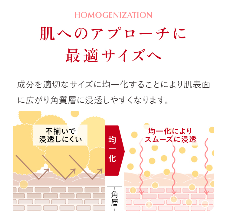 肌へのアプローチに最適サイズへ