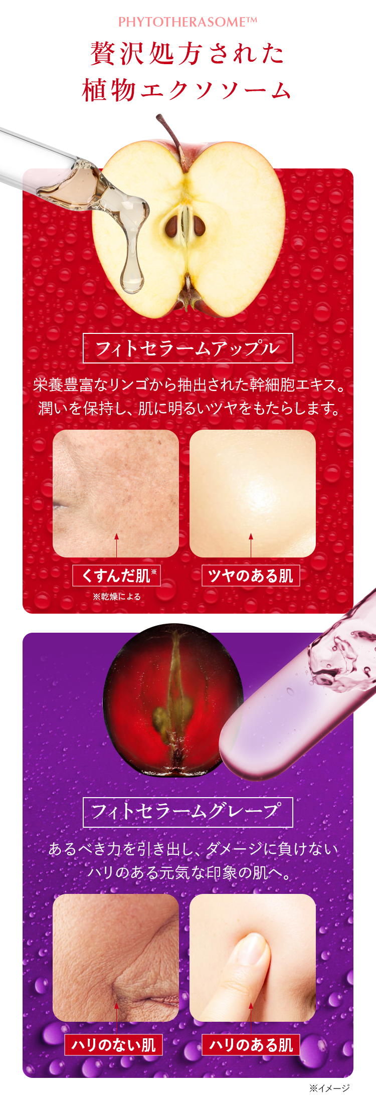 独自開発された植物エクソソーム